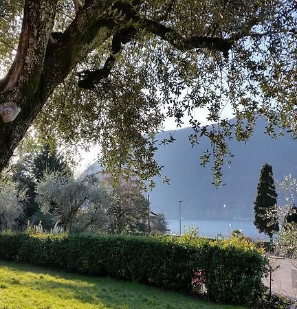 Villa Leilani B&B Sale Marasino Buitenkant foto